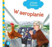 Dans l'avion