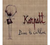 Dans le caillou Vinyle