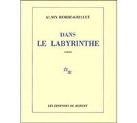 Dans le labyrinthe Alain Robbe-Grillet (Auteur)