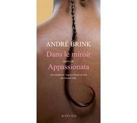 Dans le miroir André Brink (Auteur), Bernard Turle (Traduction)