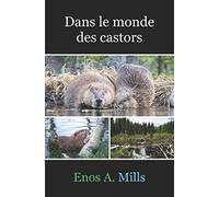 Dans le monde des castors
