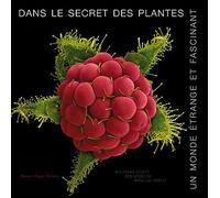 Dans le secret des plantes: Un monde étrange et fascinant