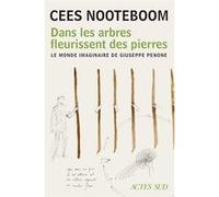 Cees Nooteboom – Dans les arbres fleurissent des pierres – Le monde imaginaire de Giuseppe Penone