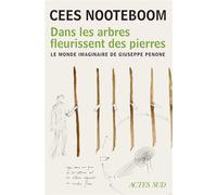 Dans les arbres fleurissent des pierres Le monde imaginaire de Giuseppe Penone - Cees Nooteboom - Actes sud - broché - Roman