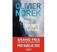 Dans les brumes de Capelans - Olivier Norek - Michel Lafon - broché - Roman
