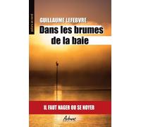 Dans les brumes de la baie Il faut nager ou se noyer - Guillaume Lefebvre - Aubane - Poche - Roman
