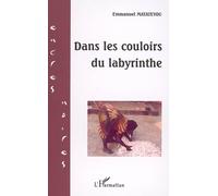 Dans les couloirs du labyrinthe - Emmanuel Matateyou - L'harmattan - broché - Roman