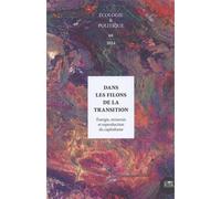 Dans les filons de la transition. Énergie, minerais et reproduction du capitalisme - Doris Buu-Sao - Le Bord De L'eau Eds - broché - Revue
