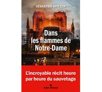 Dans les flammes de Notre-Dame