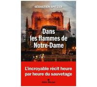 Dans Les Flammes De Notre-Dame