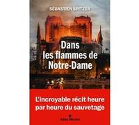 Dans les flammes de Notre-Dame Sébastien Spitzer (Auteur)