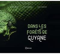 Dans les forêts de Guyane