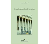 Dans les méandres de la justice - Denis Toutenu - L'harmattan - broché - Roman