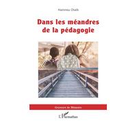 Dans les méandres de la pédagogie - Hammou Chaïb - L'harmattan - broché - Essai