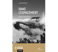Dans l'espacement Vide et esthétique - Lucille Bréard - L'harmattan - broché - Essai