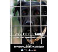 Dans leurs regards - L'Histoire de plusieurs animaux (sur)vivants d'un même refuge