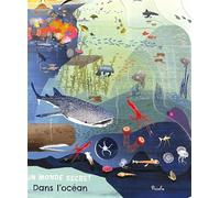 Silvia Colombo – Dans l'océan – Un monde secret – Cartonné