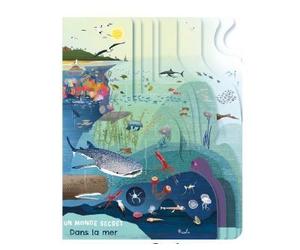 Dans l'océan - Un monde secret - Silvia Colombo - Piccolia - cartonné - Document jeunesse