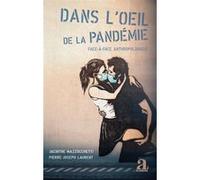 Dans l'oeil de la pandémie Jacinthe Mazzocchetti (Auteur), Pierre-Joseph Laurent (Auteur)