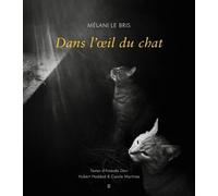 Dans l'oeil du chat