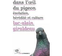 Dans l'oeil du pigeon Luc Alain Giraldeau (Auteur)