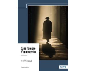 Dans l'ombre d'un assassin - Joël Pénicaud - Nombre 7 - broché - Roman