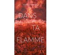 Dans ta flamme - Isabelle Grégoire - Quebec Amerique - broché - Roman