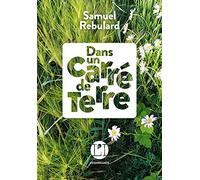 Dans un carré de terre