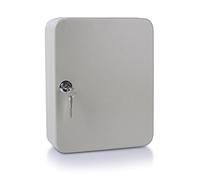 Danube 5242001pl - 99 Armoire à clés pour 48 clés Gris 250 x 180 x 80 mm