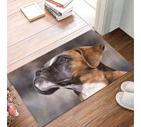 danxceh Tapis de Bain Absorbant Antidérapant Tapis Salle de Bain Lavable en Machine Tapis de Douche en Microfibre Douce,Beau Chiot Mignon et Pelucheux tacheté lève Les Yeux avec de Beaux ye,40x60cm