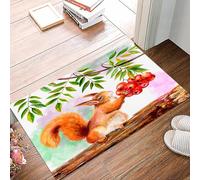 danxceh Tapis de Bain Absorbant Antidérapant Tapis Salle de Bain Lavable en Machine Tapis de Douche en Microfibre Douce,Un écureuil Orange Duveteux est Assis sur Un Arbre et Tient des Baies,40x60cm