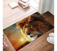 danxceh Tapis de Bain Absorbant Antidérapant Tapis Salle de Bain Lavable en Machine Tapis de Douche en Microfibre Douce,Lion d'Afrique et Nuit en Afrique. Paysage de Savane Africaine au cla,40x60cm