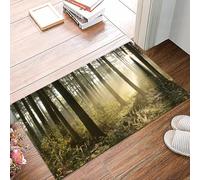 danxceh Tapis de Bain Absorbant Antidérapant Tapis Salle de Bain Lavable en Machine Tapis de Douche en Microfibre Douce,Forêt de conifères d'automne par Un Matin Brumeux.,40x60cm