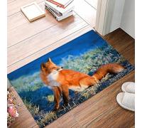 danxceh Tapis de Bain Absorbant Antidérapant Tapis Salle de Bain Lavable en Machine Tapis de Douche en Microfibre Douce,Champ d'automne dans Une matinée Froide avec Fox Nature Grass,40x60cm