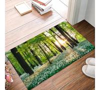 danxceh Tapis de Bain Absorbant Antidérapant Tapis Salle de Bain Lavable en Machine Tapis de Douche en Microfibre Douce,Décor de Ferme, forêt ensoleillée avec de charmantes Fleurs Sauvages,40x60cm