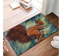 danxceh Tapis de Bain Absorbant Antidérapant Tapis Salle de Bain Lavable en Machine Tapis de Douche en Microfibre Douce,Un écureuil avec Une Queue touffue sur Une brindille avec Une Noix da,40x60cm