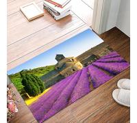 danxceh Tapis de Bain Absorbant Antidérapant Tapis Salle de Bain Lavable en Machine Tapis de Douche en Microfibre Douce,Abbaye de Sénanque et rangées de Fleurs de Lavande en Fleurs au Couch,40x60cm