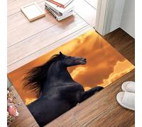 danxceh Tapis de Bain Absorbant Antidérapant Tapis Salle de Bain Lavable en Machine Tapis de Douche en Microfibre Douce,Animal, Portrait d'un Cheval Frison au Galop avec des Rayons de solei,40x60cm