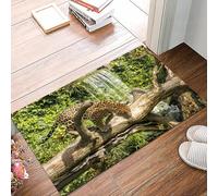 danxceh Tapis de Bain Absorbant Antidérapant Tapis Salle de Bain Lavable en Machine Tapis de Douche en Microfibre Douce,Bébé Jaguar,40x60cm