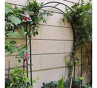 Daoyuan Arche Rosier Jardin en Métal,Treillis D'arche De Jardin Tonnelles,pour Plantes Grimpantes,Pergola De Gloriette Fer Forge,Résistant Aux Intempéries,Arc De Vrille D'arche,Jardin Pelouse Mariage