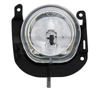 DAPA GmbH & Co. KG 190816052 Phare antibrouillard gauche