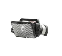DAPA GmbH & Co. KG 195038052 Phare antibrouillard gauche