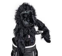 Daphne's Daphnes Gorilla Headcover