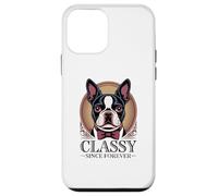 Dapper Boston Terrier, Chic Depuis Toujours Coque pour iPhone 12 Mini