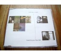 DAR WILLIAMS - I WON'T BE YOUR YOKO ONO CD EUROPEAN RAZOR AND TIE 2000 4 TRACK WITH INFO STICKERED CASE B/W LIVE VERSION, SPRING STREET AND INTRO (RTIEPR01)