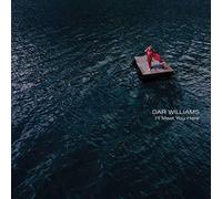 Dar Williams - I'll Meet You Here [Vinyl Lp]