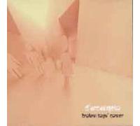 D'arcangelo - Broken Toys Corner [Import]