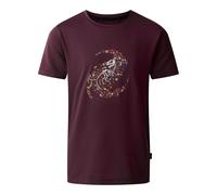 Dare 2B - T-shirt motif/style squelette de dinosaure AMUSE - Enfant (RG12370)