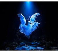 DARE KA.UMI WO. EP - AIMER