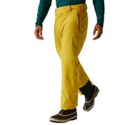 Dare2b Achieve Ii Pants Jaune 3XL / Regular Homme
